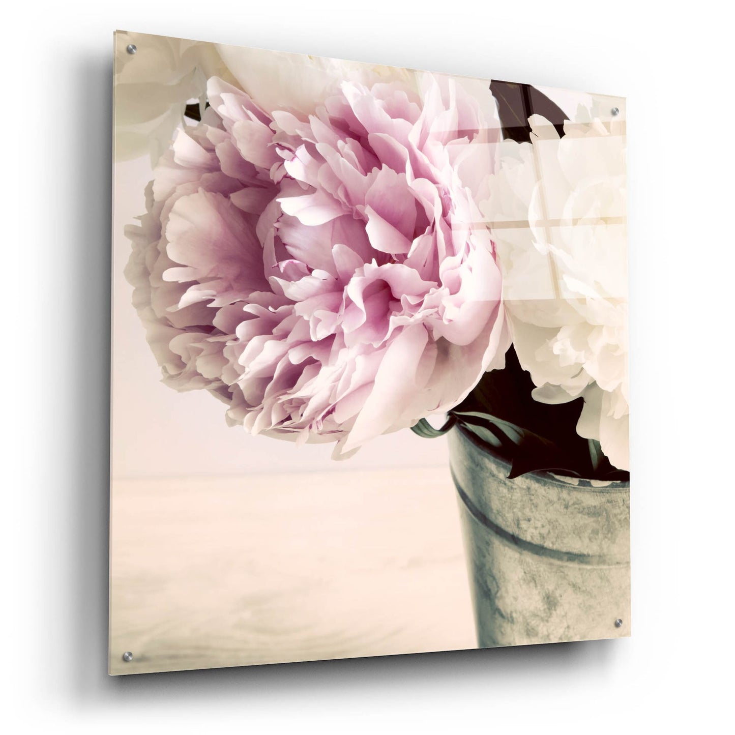 Epic Art 'Pink and White Peonies in a Vase' by Tom Quartermaine, Acrylic Glass Wall Art,36x36