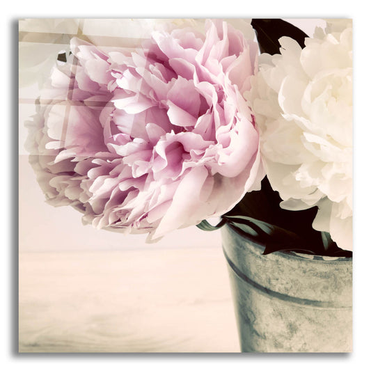 Epic Art 'Pink and White Peonies in a Vase' by Tom Quartermaine, Acrylic Glass Wall Art