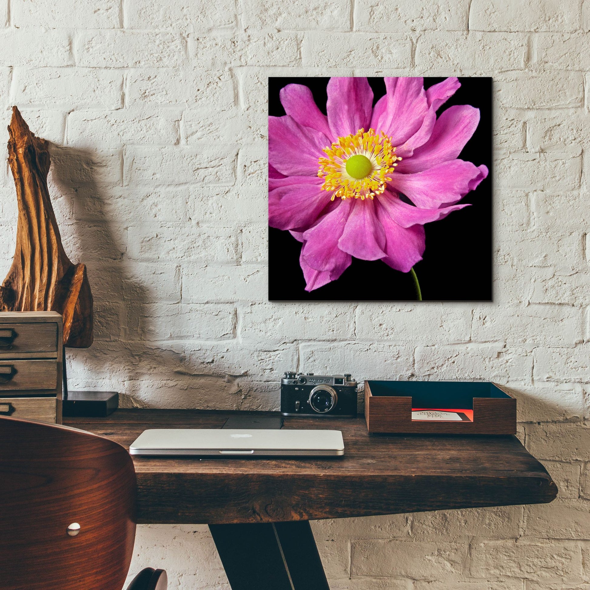 Epic Art 'Pink Flower on Black 01' by Tom Quartermaine, Acrylic Glass Wall Art,12x12