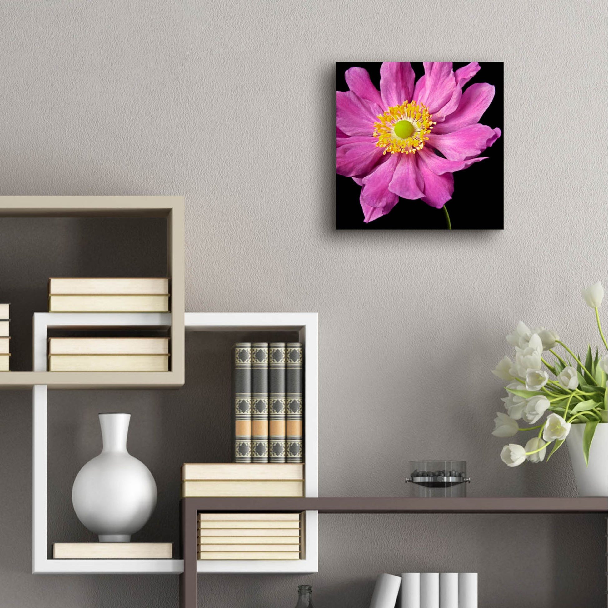 Epic Art 'Pink Flower on Black 01' by Tom Quartermaine, Acrylic Glass Wall Art,12x12