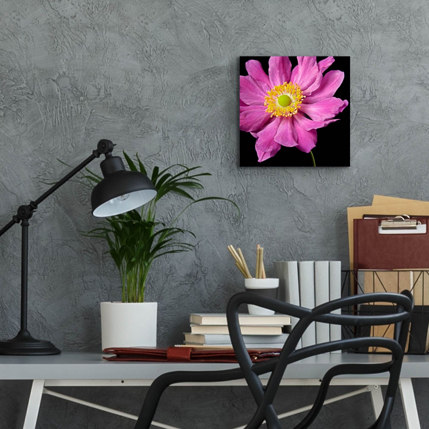 Epic Art 'Pink Flower on Black 01' by Tom Quartermaine, Acrylic Glass Wall Art,12x12