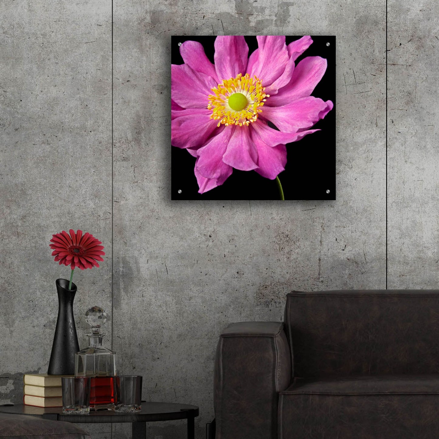 Epic Art 'Pink Flower on Black 01' by Tom Quartermaine, Acrylic Glass Wall Art,24x24