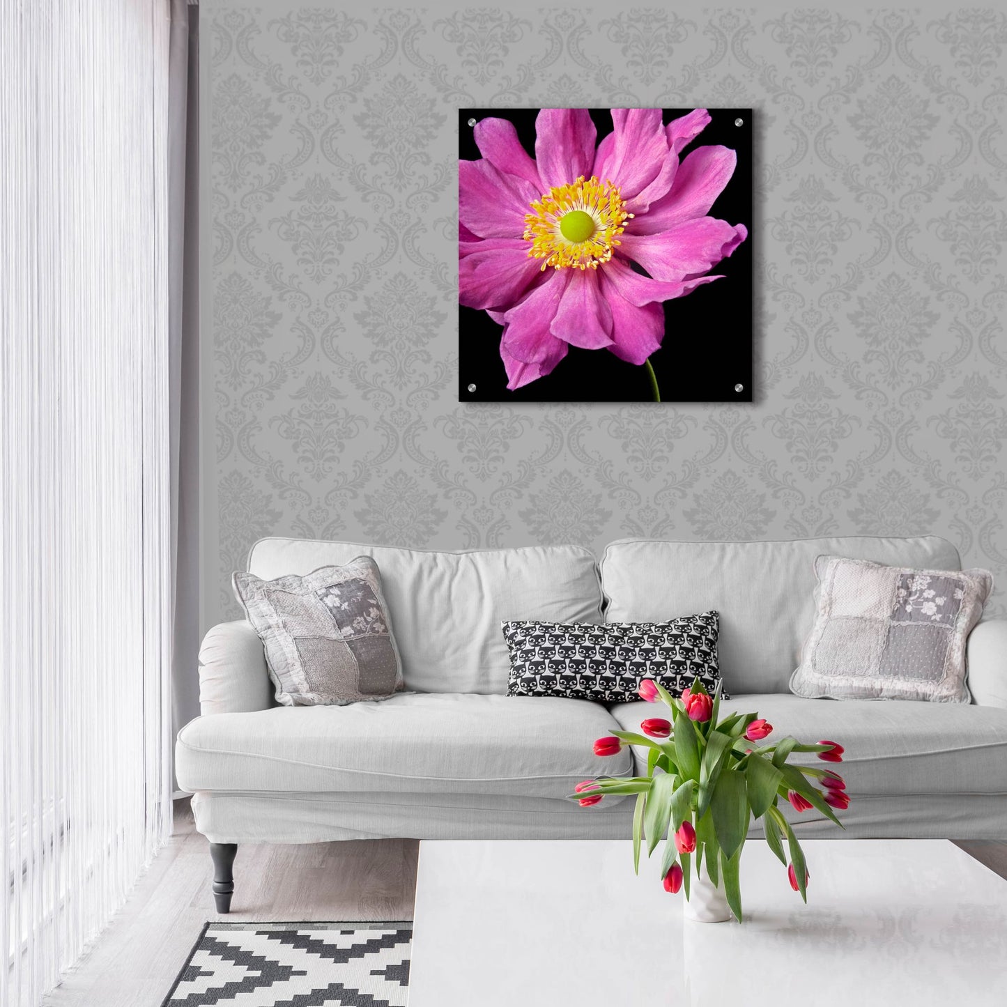 Epic Art 'Pink Flower on Black 01' by Tom Quartermaine, Acrylic Glass Wall Art,24x24