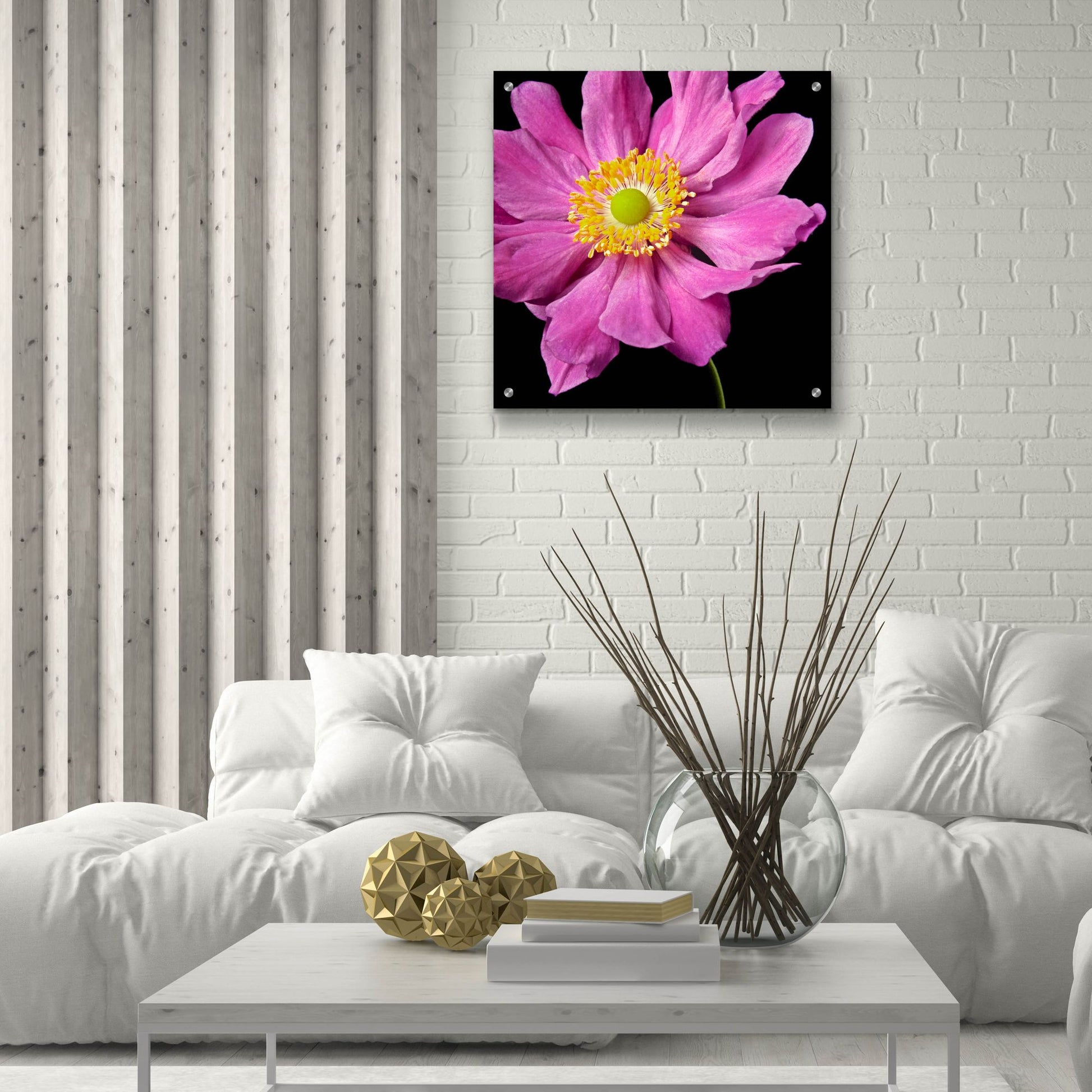 Epic Art 'Pink Flower on Black 01' by Tom Quartermaine, Acrylic Glass Wall Art,24x24