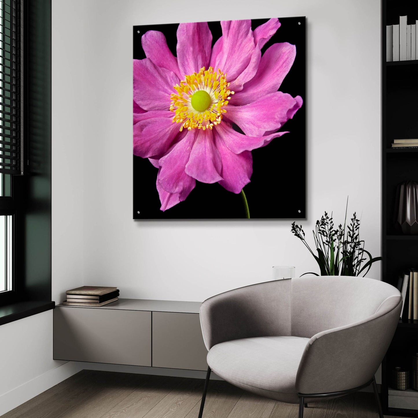 Epic Art 'Pink Flower on Black 01' by Tom Quartermaine, Acrylic Glass Wall Art,36x36