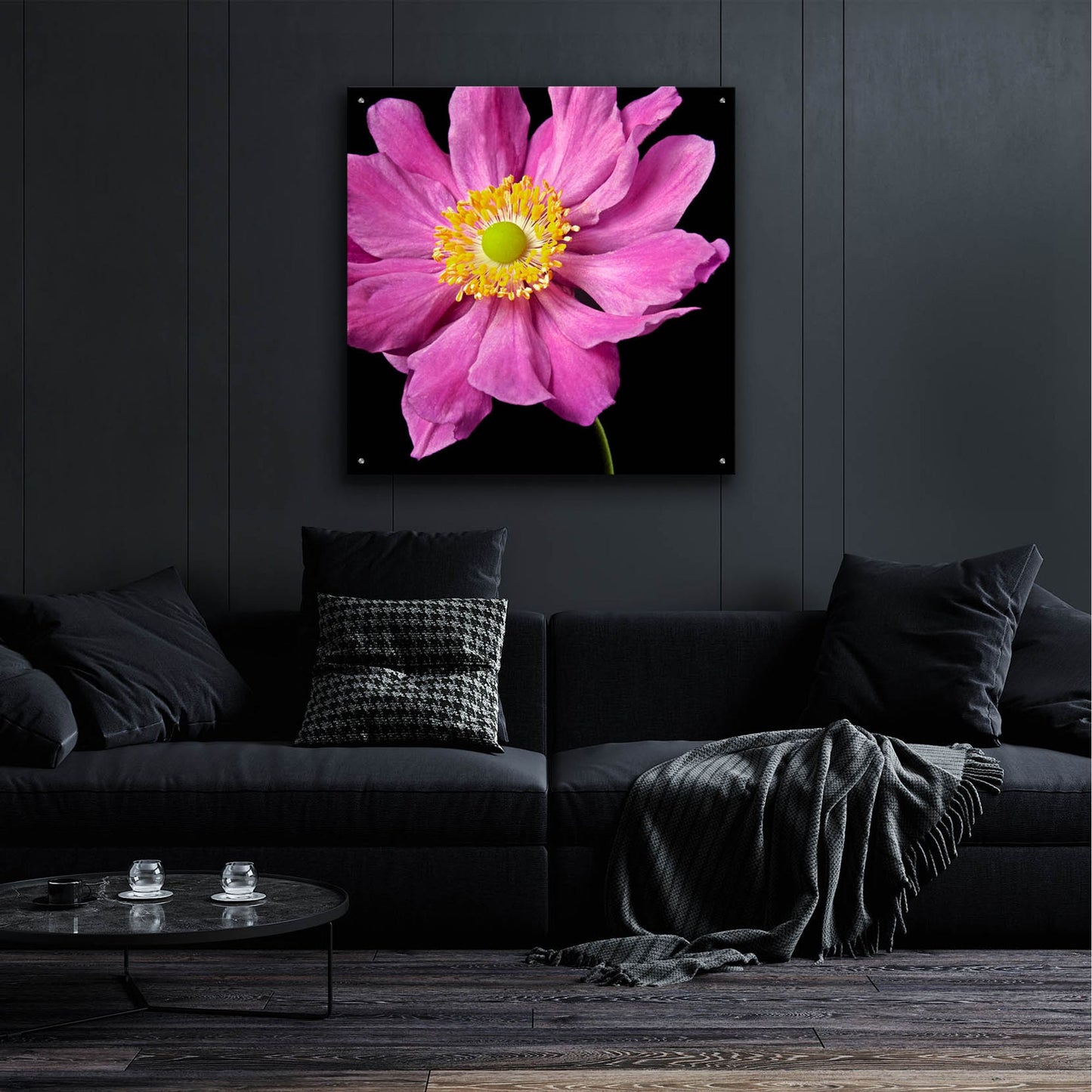 Epic Art 'Pink Flower on Black 01' by Tom Quartermaine, Acrylic Glass Wall Art,36x36