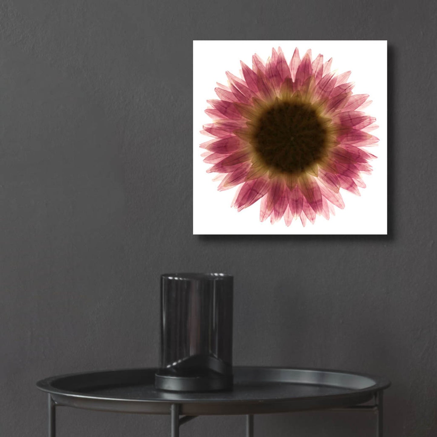 Epic Art 'Pink Flower on White 01' by Tom Quartermaine, Acrylic Glass Wall Art,12x12