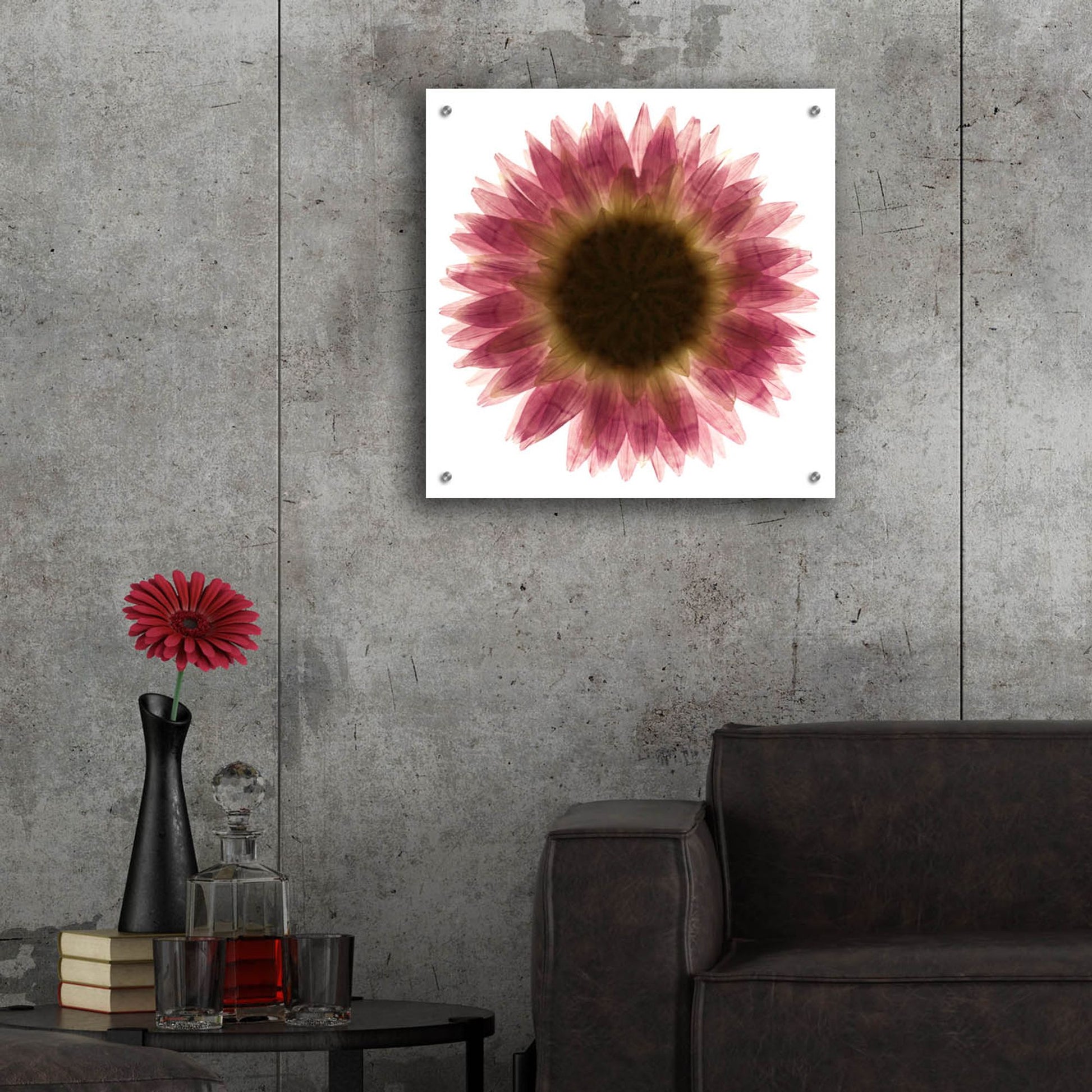 Epic Art 'Pink Flower on White 01' by Tom Quartermaine, Acrylic Glass Wall Art,24x24