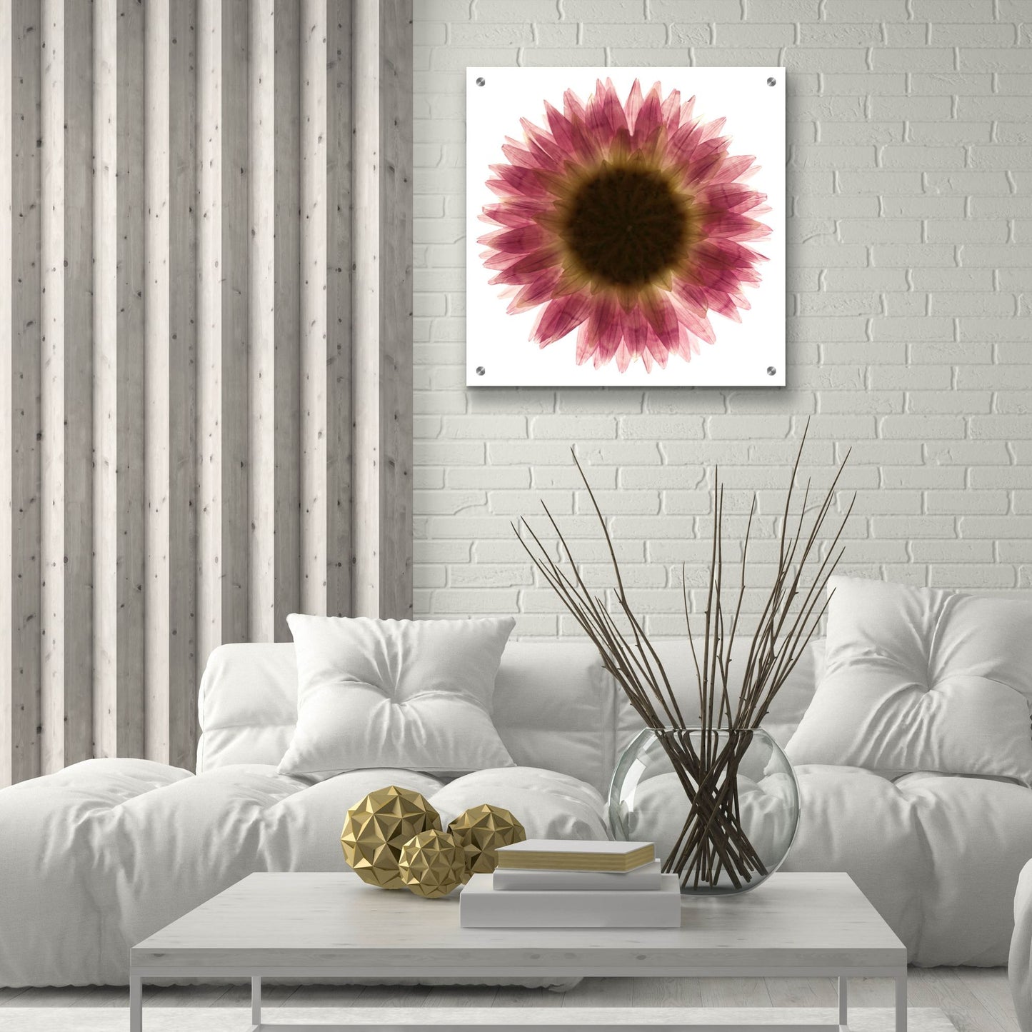 Epic Art 'Pink Flower on White 01' by Tom Quartermaine, Acrylic Glass Wall Art,24x24