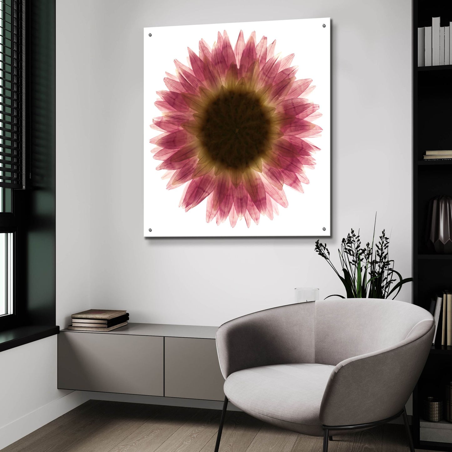 Epic Art 'Pink Flower on White 01' by Tom Quartermaine, Acrylic Glass Wall Art,36x36