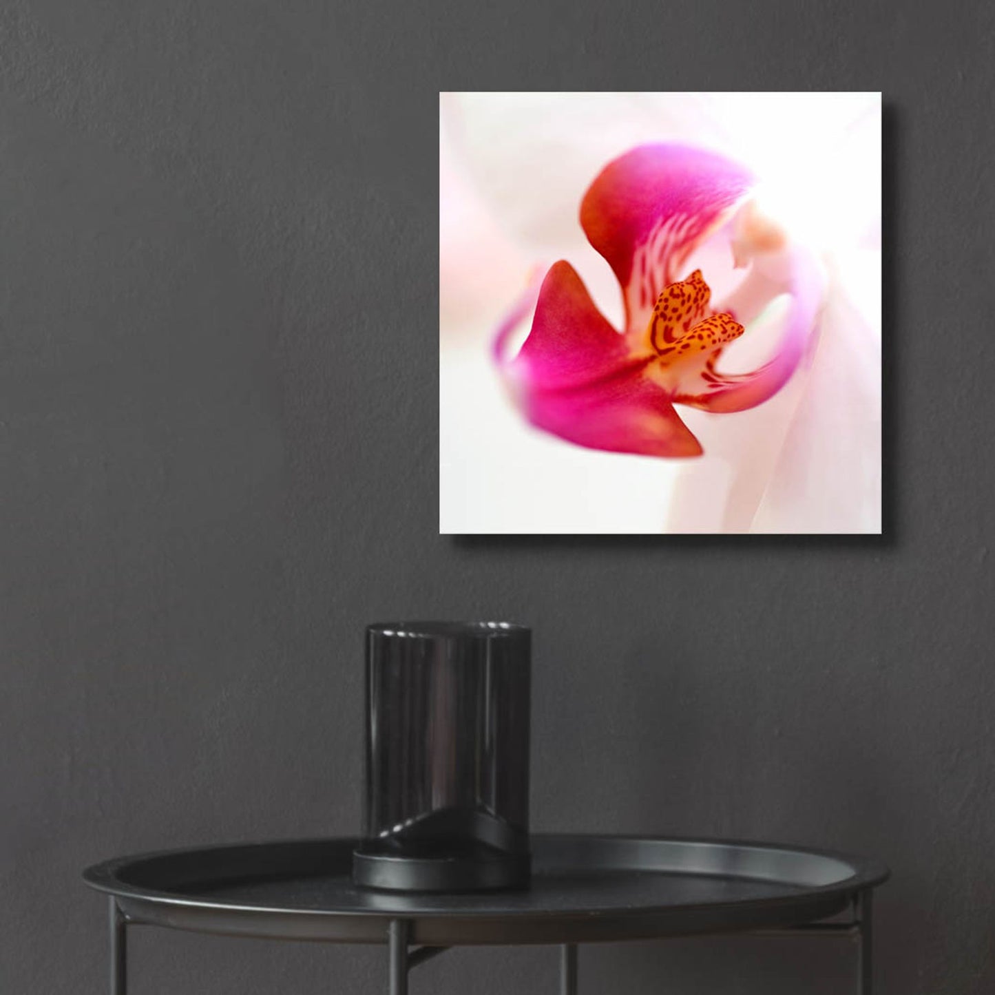 Epic Art 'Pink Orchid Close up 01' by Tom Quartermaine, Acrylic Glass Wall Art,12x12