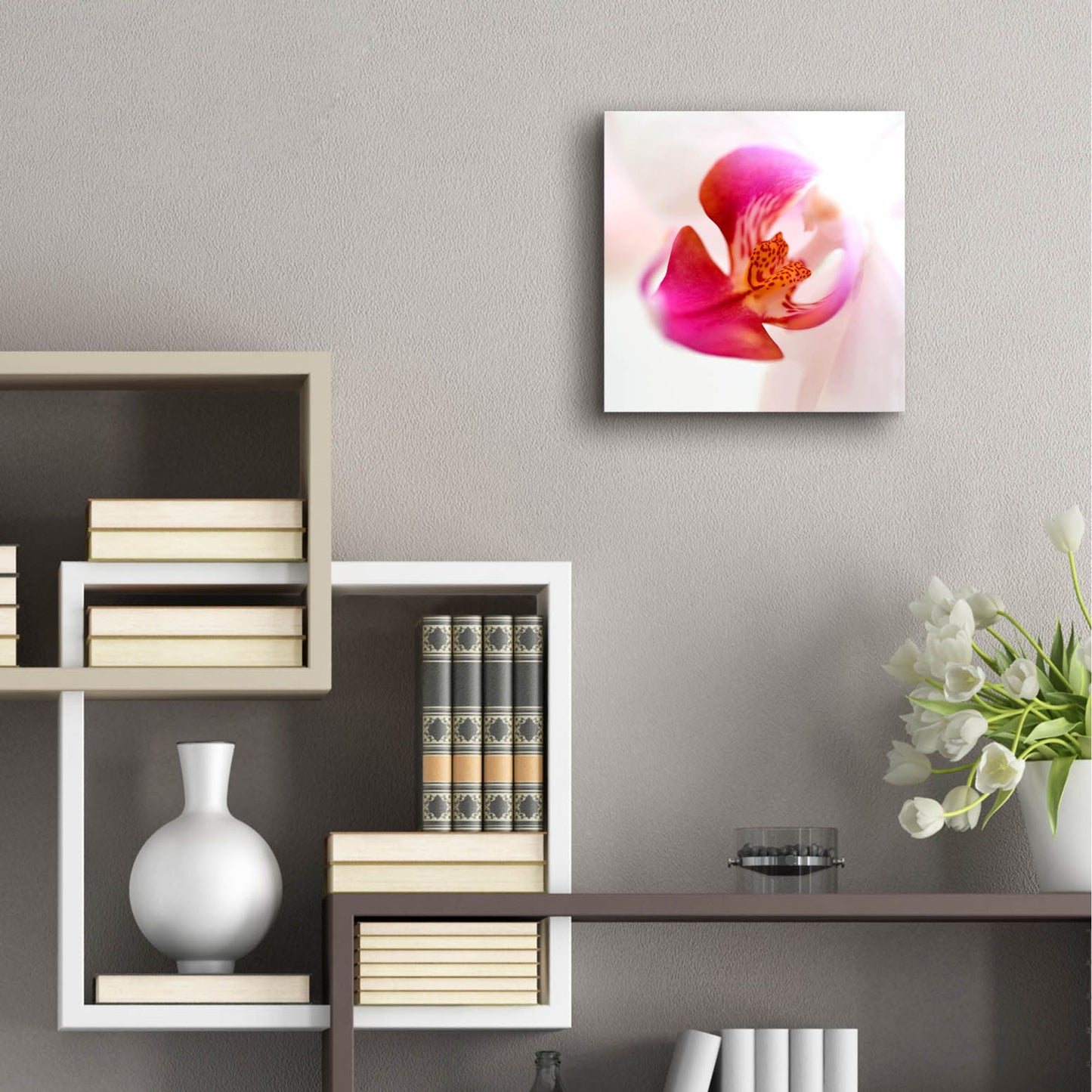 Epic Art 'Pink Orchid Close up 01' by Tom Quartermaine, Acrylic Glass Wall Art,12x12