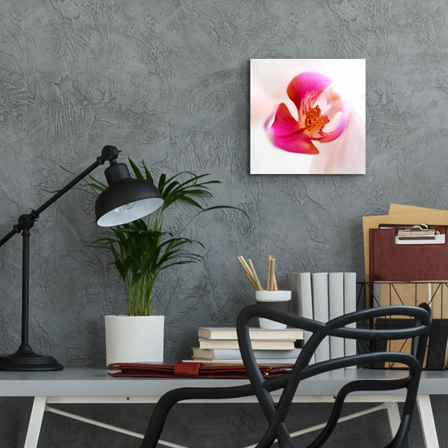 Epic Art 'Pink Orchid Close up 01' by Tom Quartermaine, Acrylic Glass Wall Art,12x12