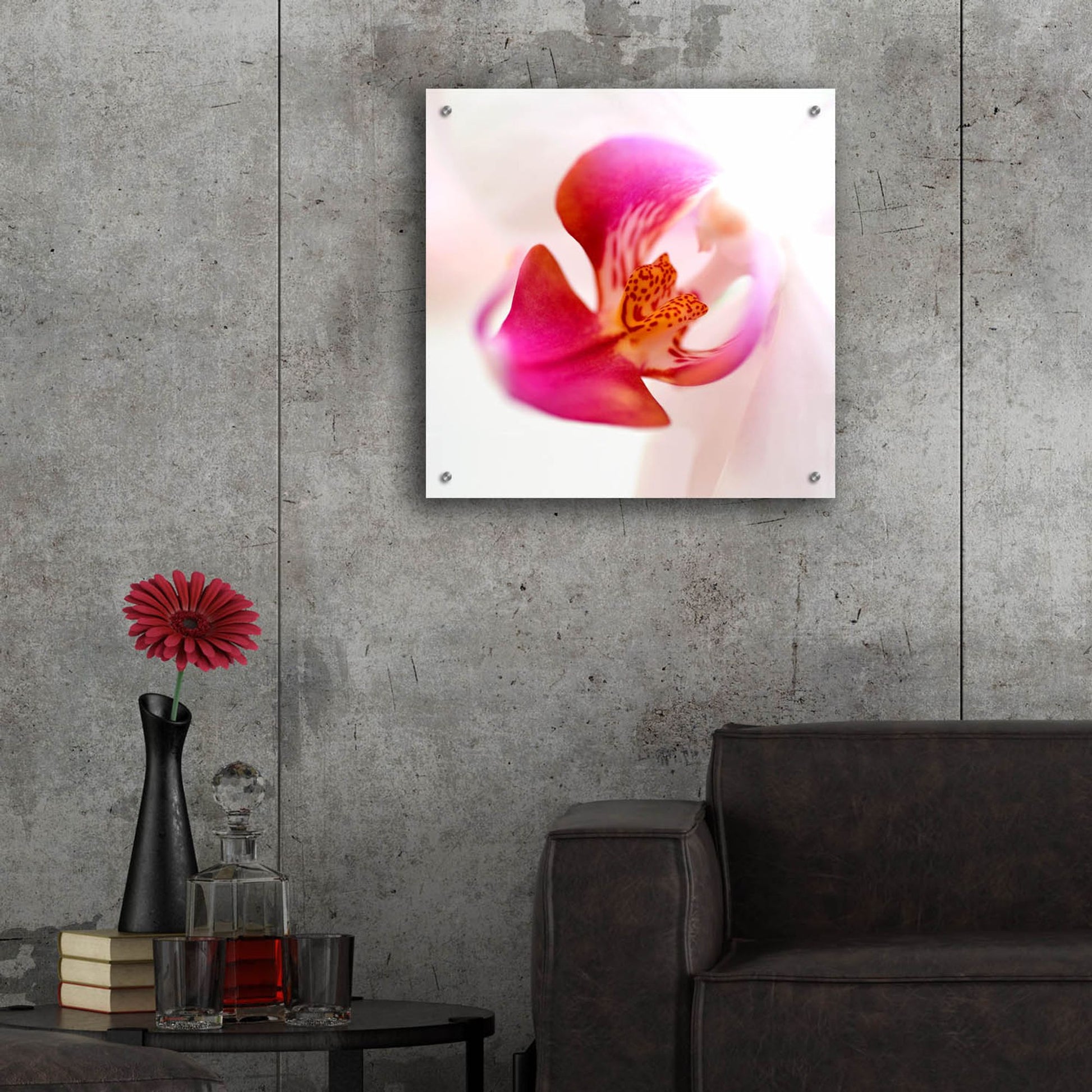 Epic Art 'Pink Orchid Close up 01' by Tom Quartermaine, Acrylic Glass Wall Art,24x24