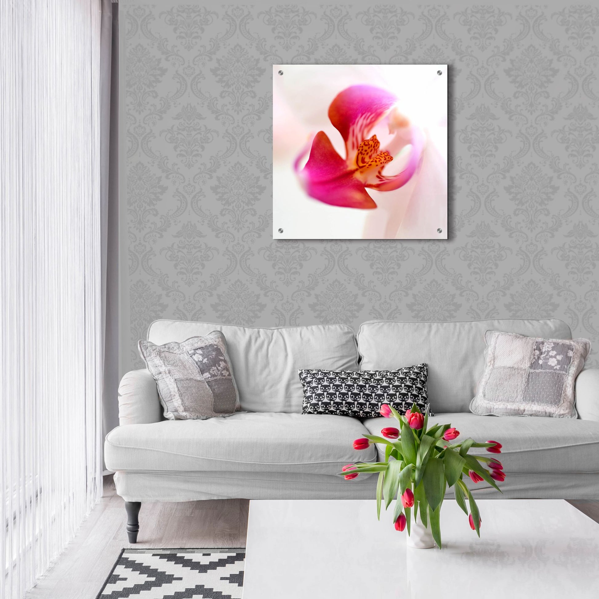 Epic Art 'Pink Orchid Close up 01' by Tom Quartermaine, Acrylic Glass Wall Art,24x24