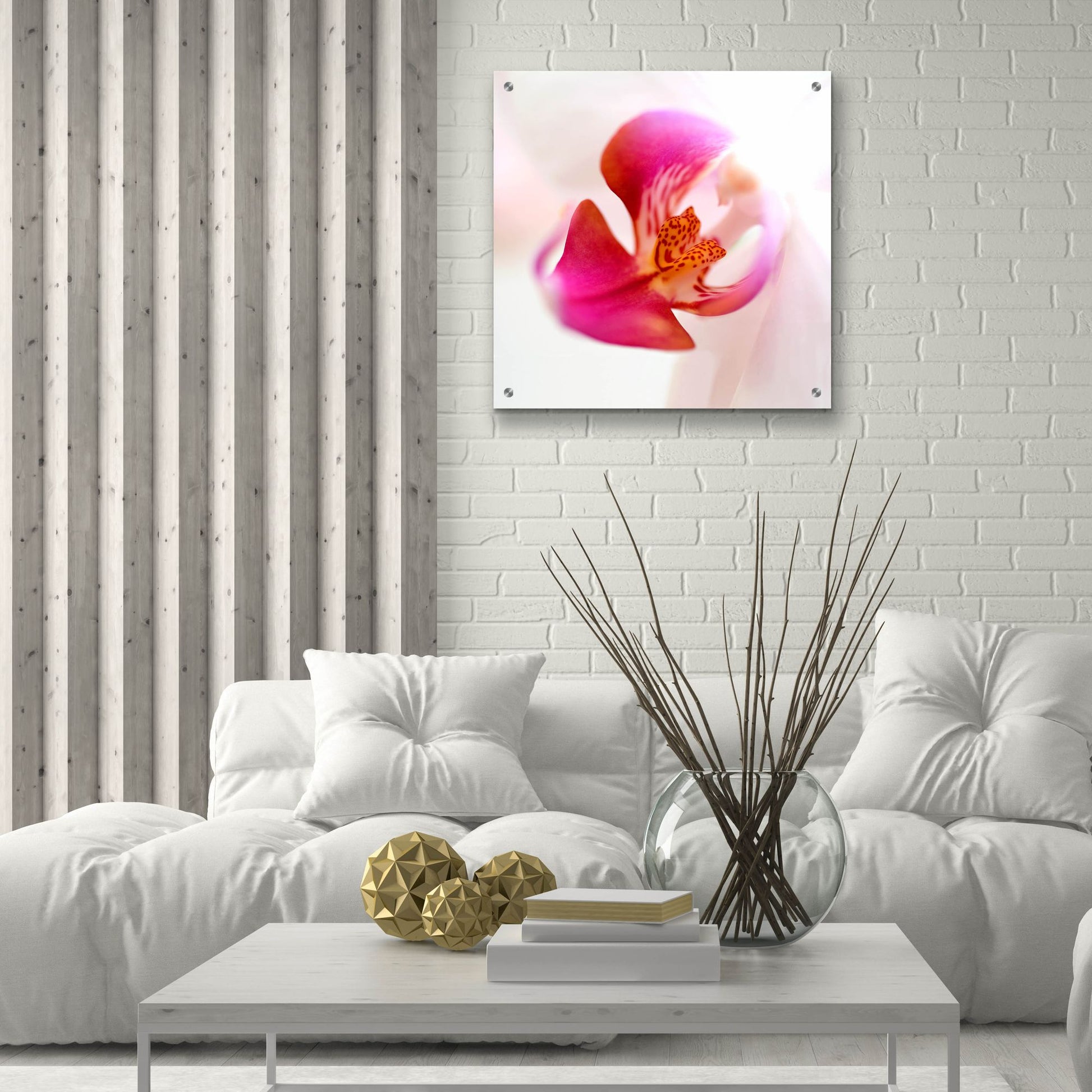 Epic Art 'Pink Orchid Close up 01' by Tom Quartermaine, Acrylic Glass Wall Art,24x24