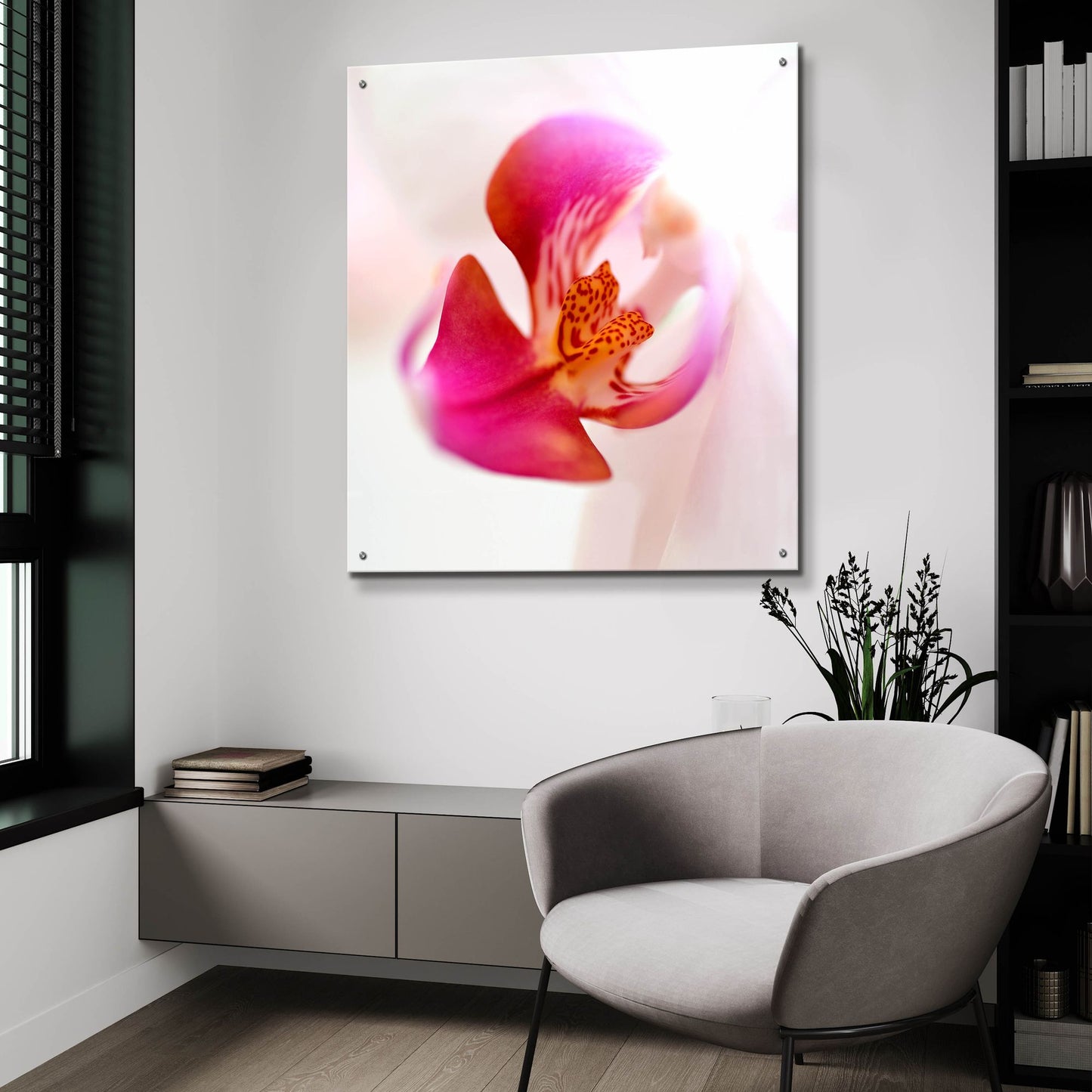 Epic Art 'Pink Orchid Close up 01' by Tom Quartermaine, Acrylic Glass Wall Art,36x36