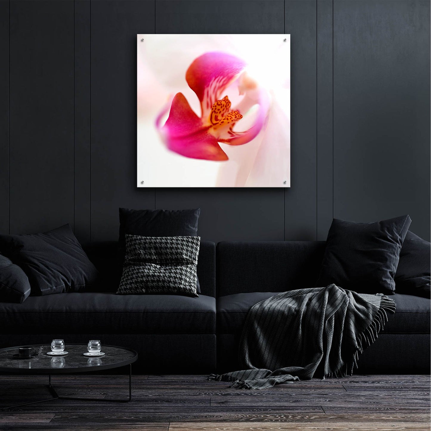 Epic Art 'Pink Orchid Close up 01' by Tom Quartermaine, Acrylic Glass Wall Art,36x36