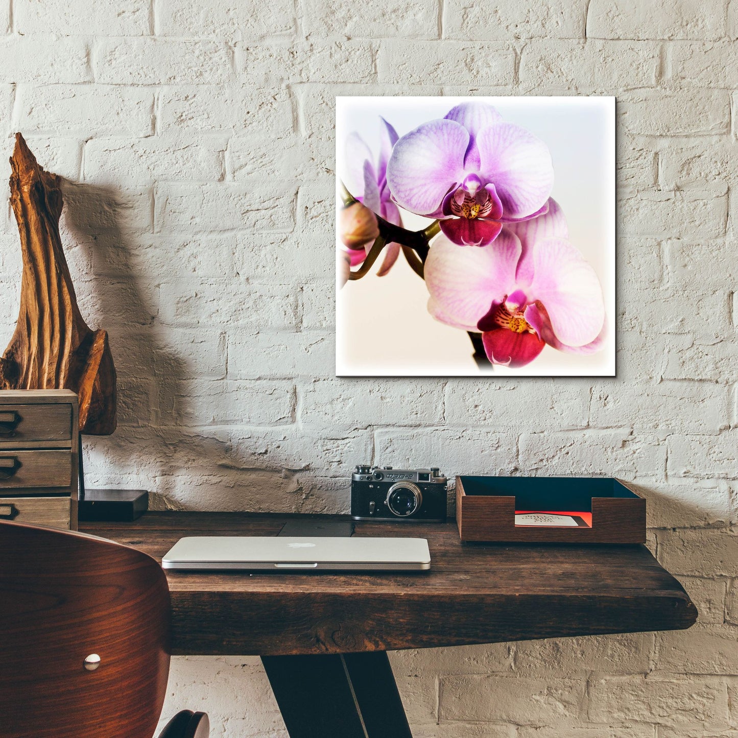 Epic Art 'Pink Orchid Close up 02' by Tom Quartermaine, Acrylic Glass Wall Art,12x12