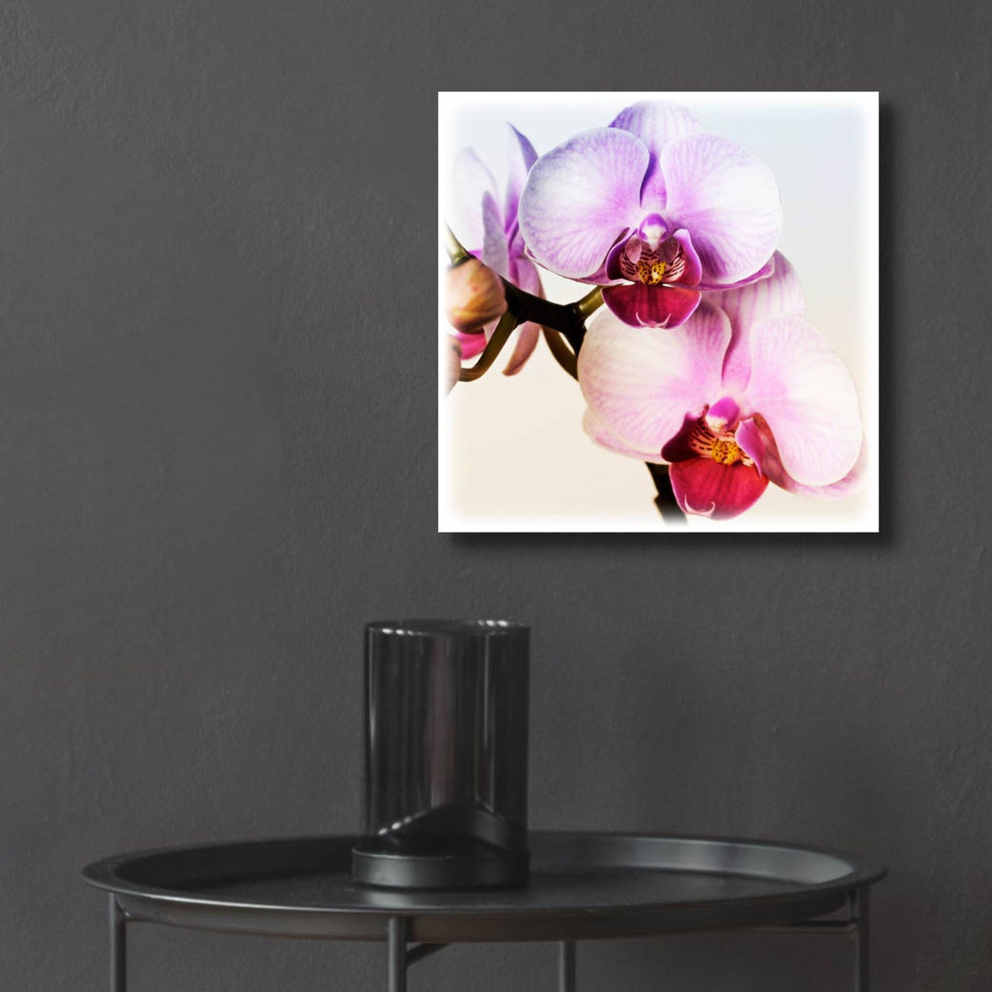 Epic Art 'Pink Orchid Close up 02' by Tom Quartermaine, Acrylic Glass Wall Art,12x12