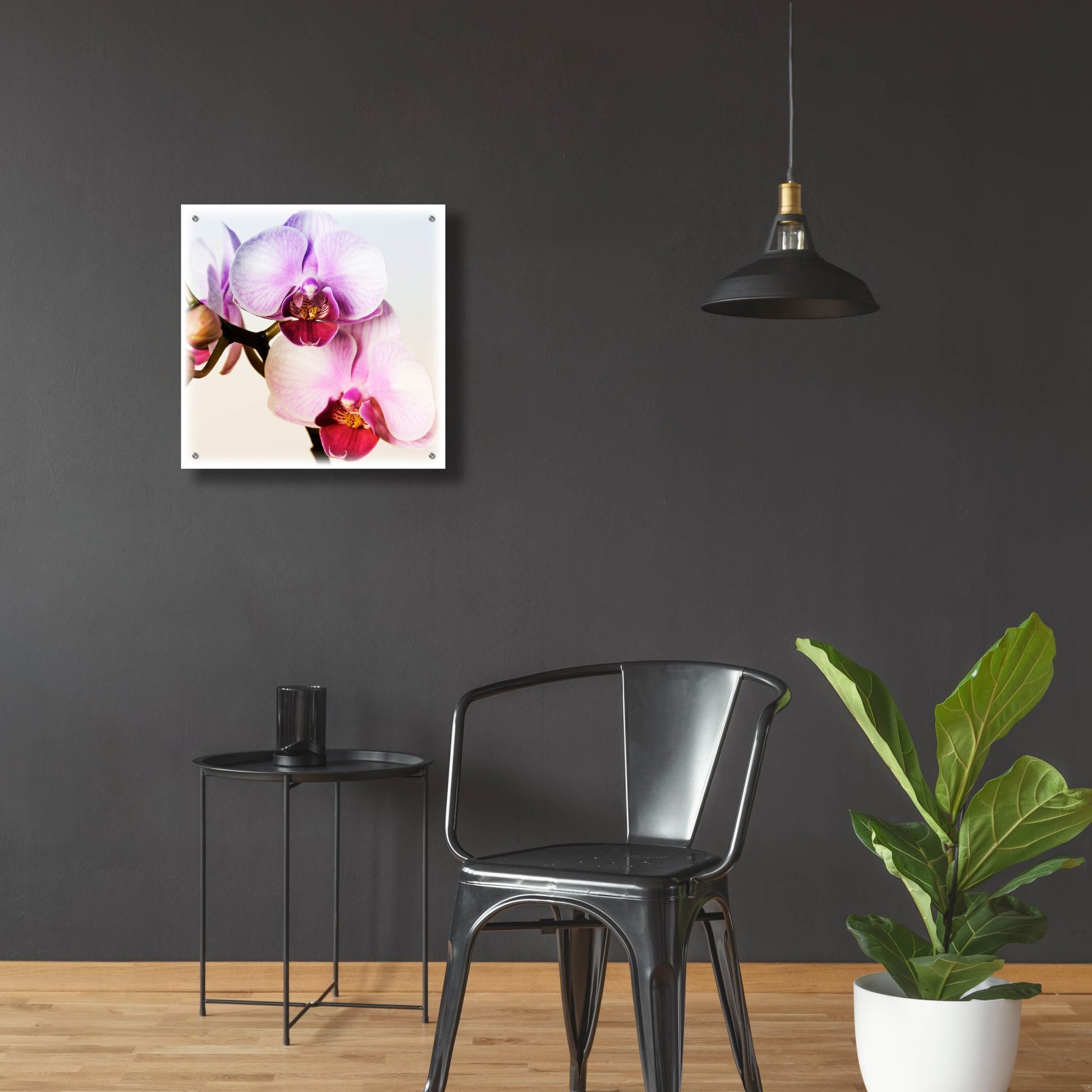 Epic Art 'Pink Orchid Close up 02' by Tom Quartermaine, Acrylic Glass Wall Art,24x24