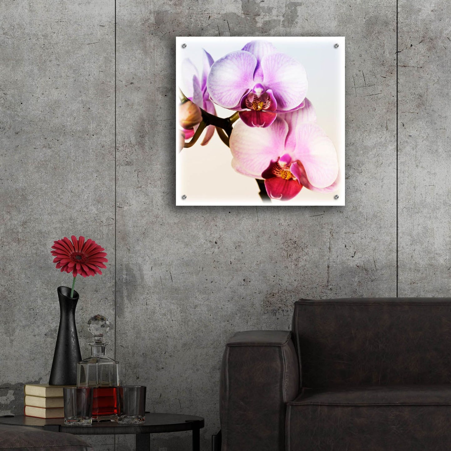 Epic Art 'Pink Orchid Close up 02' by Tom Quartermaine, Acrylic Glass Wall Art,24x24