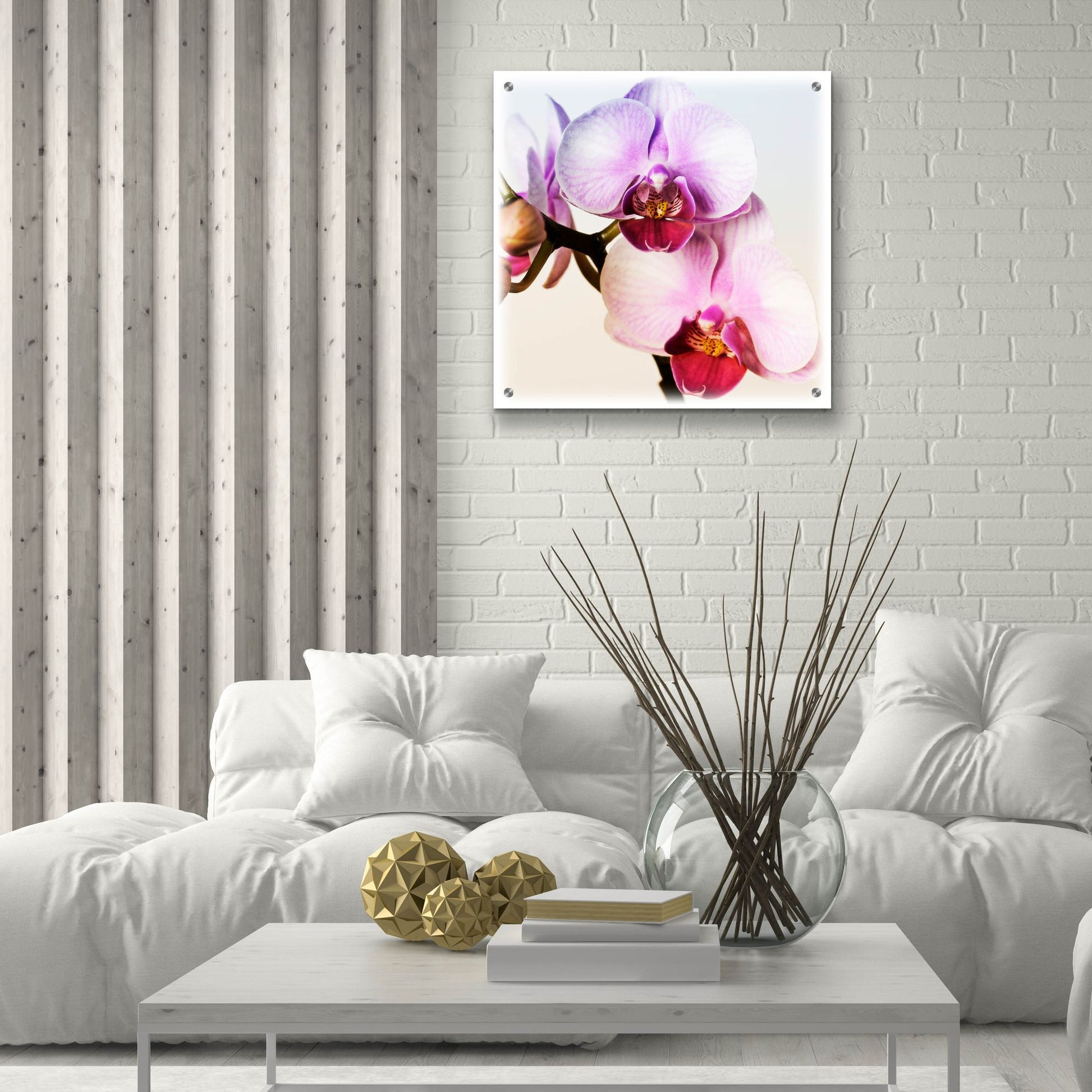 Epic Art 'Pink Orchid Close up 02' by Tom Quartermaine, Acrylic Glass Wall Art,24x24