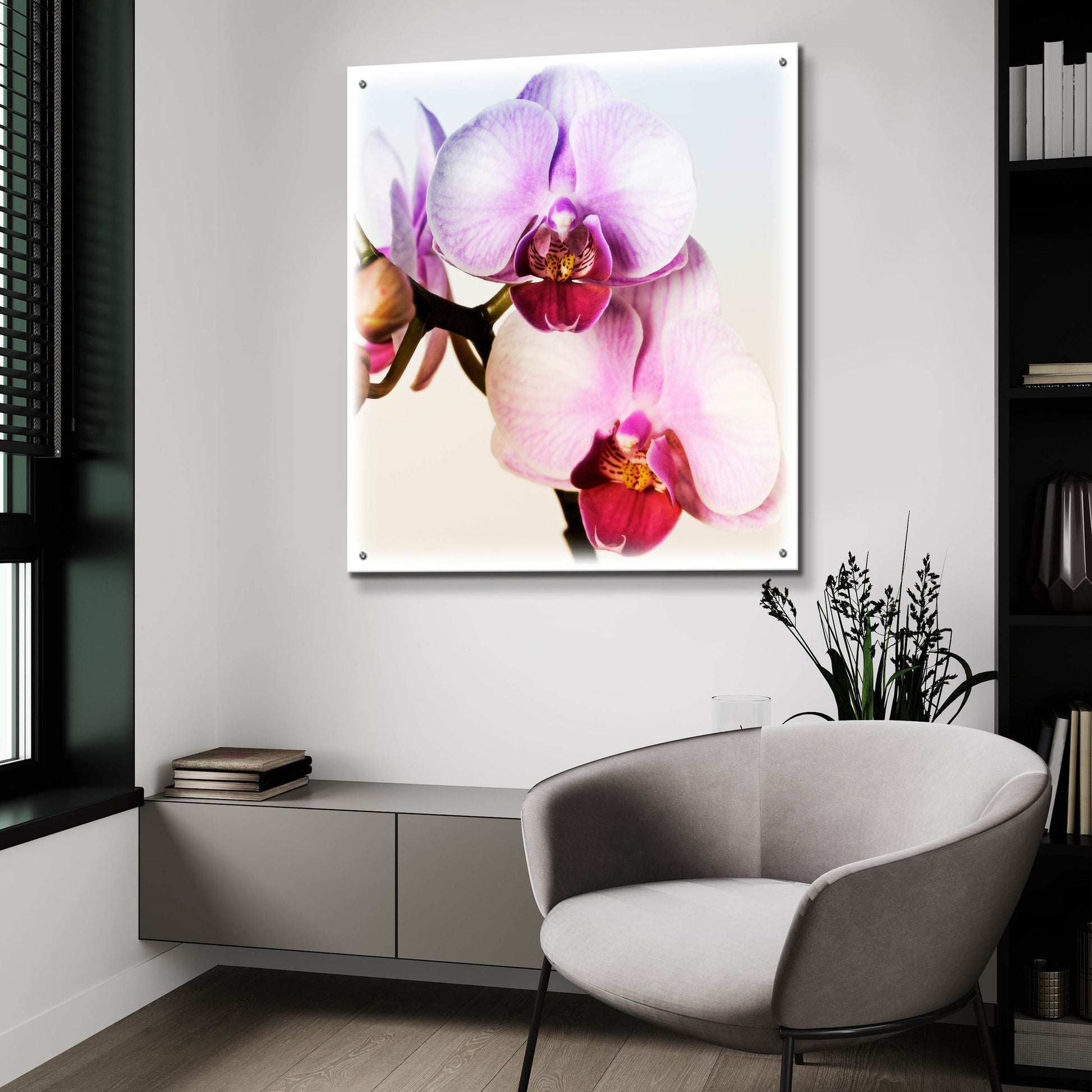 Epic Art 'Pink Orchid Close up 02' by Tom Quartermaine, Acrylic Glass Wall Art,36x36