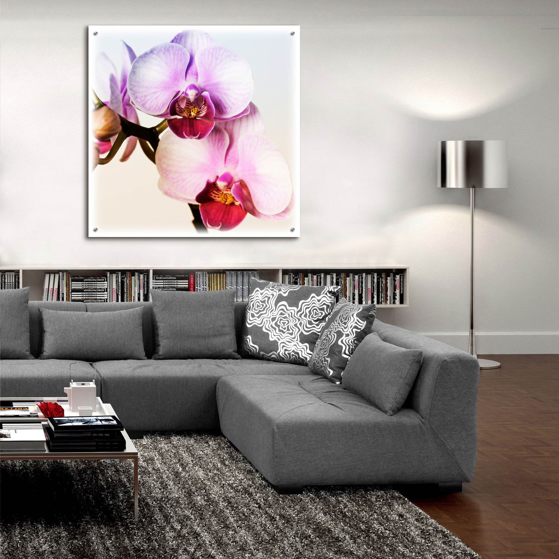 Epic Art 'Pink Orchid Close up 02' by Tom Quartermaine, Acrylic Glass Wall Art,36x36