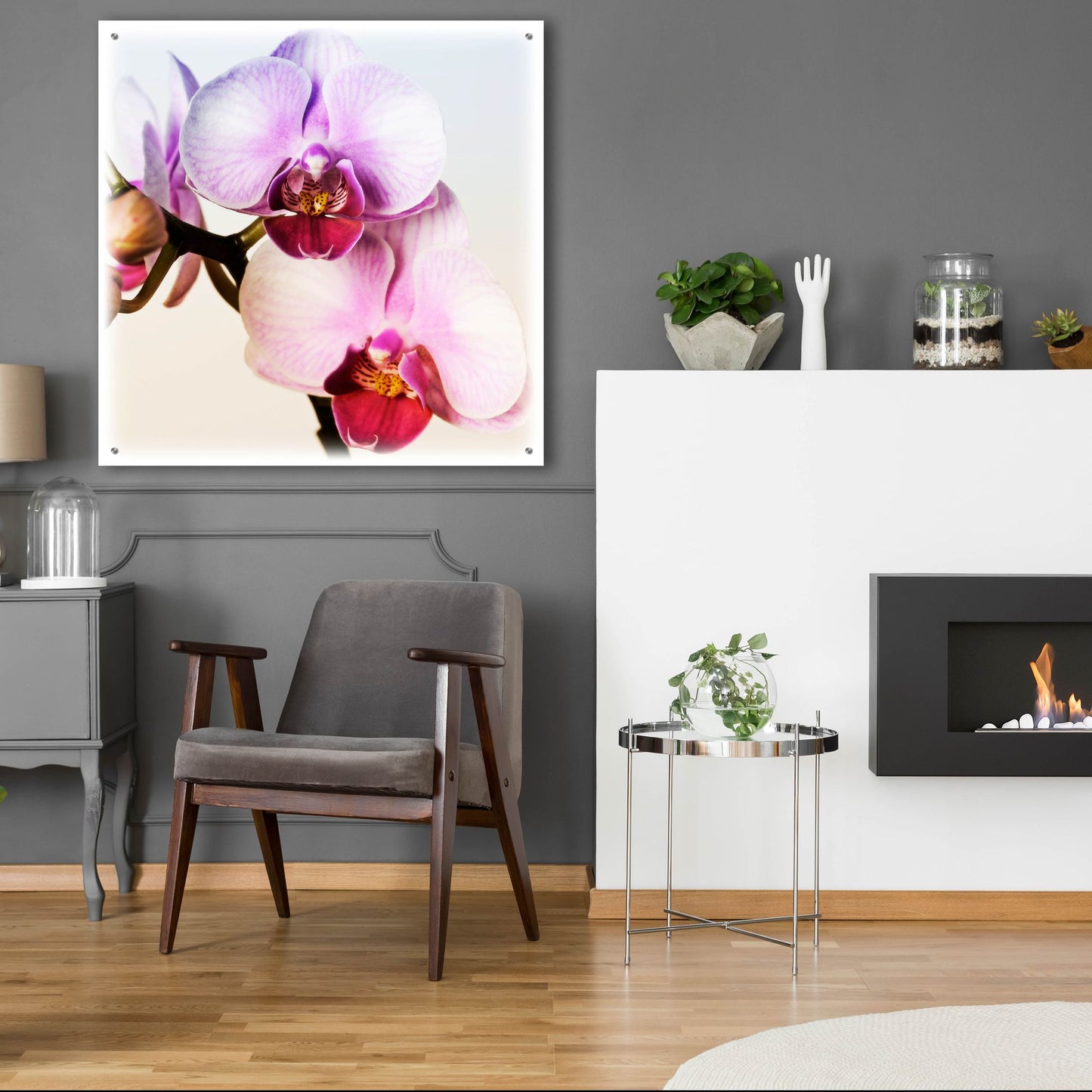 Epic Art 'Pink Orchid Close up 02' by Tom Quartermaine, Acrylic Glass Wall Art,36x36