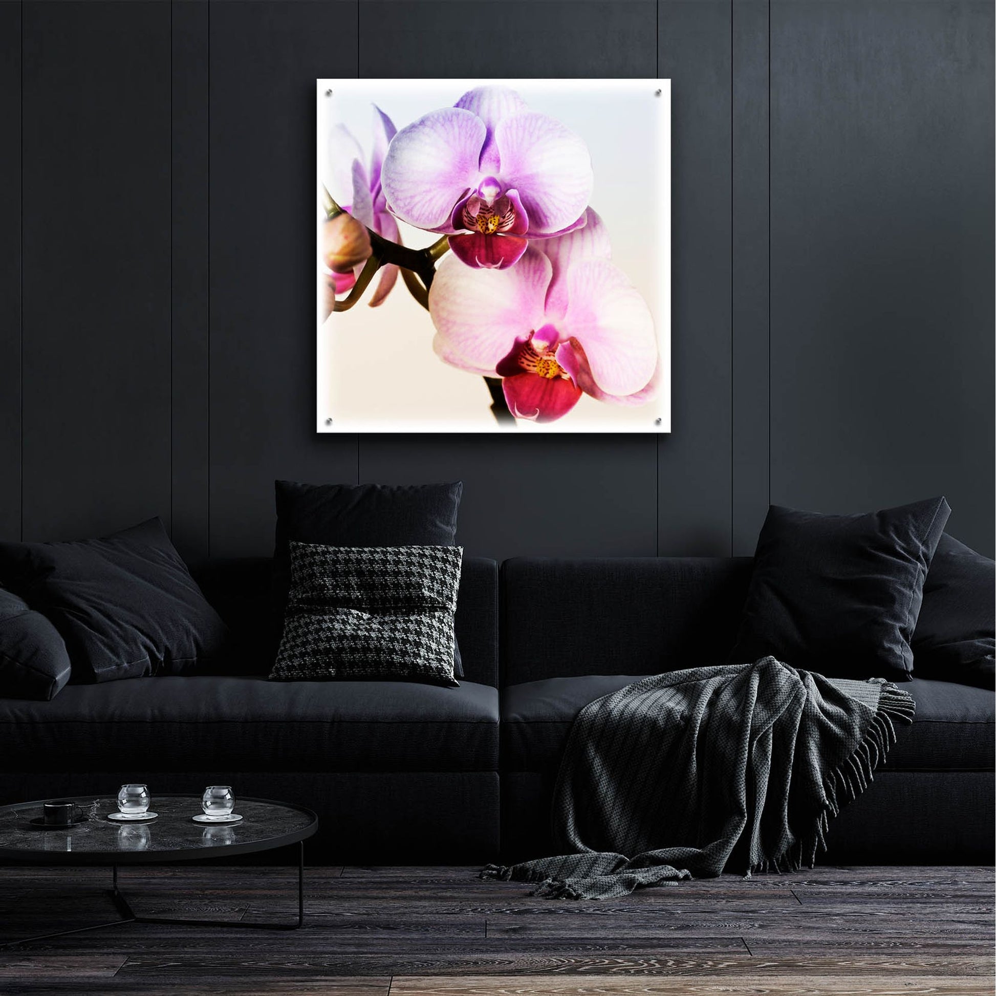 Epic Art 'Pink Orchid Close up 02' by Tom Quartermaine, Acrylic Glass Wall Art,36x36