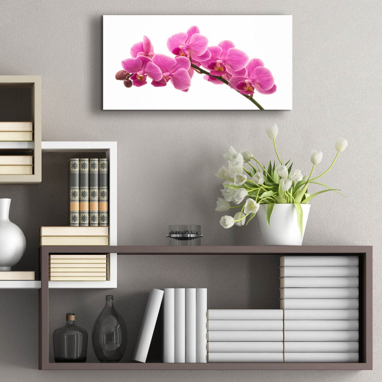 Epic Art 'Pink Orchid on White 01' by Tom Quartermaine, Acrylic Glass Wall Art,24x12