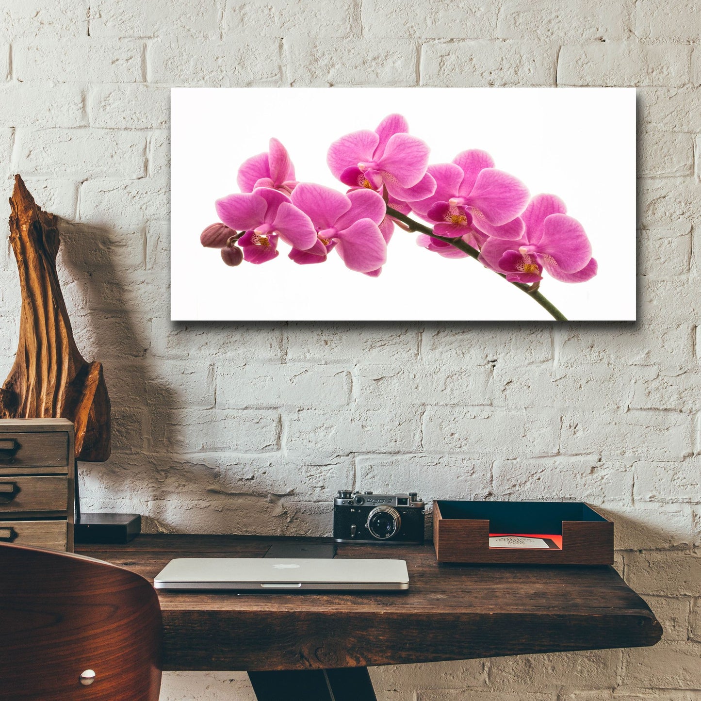 Epic Art 'Pink Orchid on White 01' by Tom Quartermaine, Acrylic Glass Wall Art,24x12