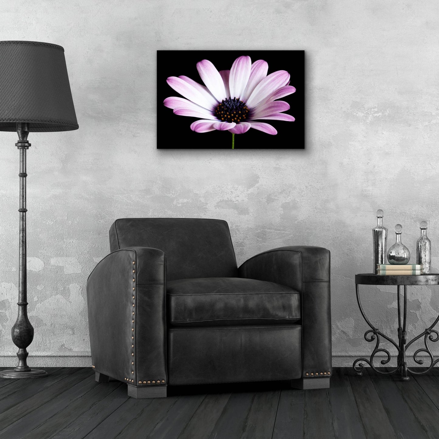 Epic Art 'Pink Osteospurmum Black 04' by Tom Quartermaine, Acrylic Glass Wall Art,24x16