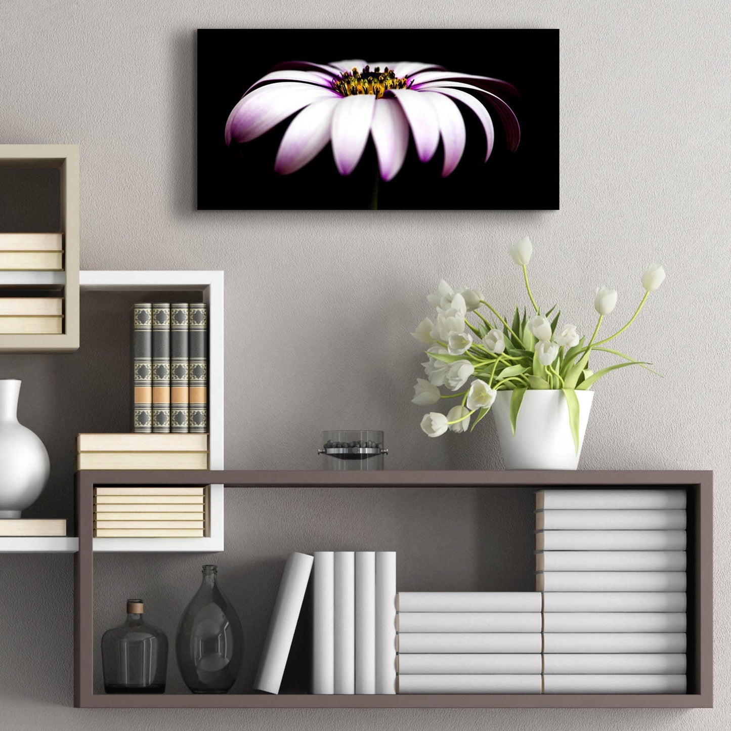 Epic Art 'Pink Osteospurmum on Black Panoramic' by Tom Quartermaine, Acrylic Glass Wall Art,24x12