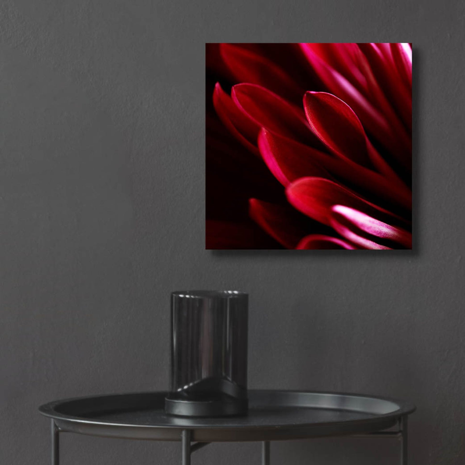 Epic Art 'Red Chrysanthemum Close up 01' by Tom Quartermaine, Acrylic Glass Wall Art,12x12