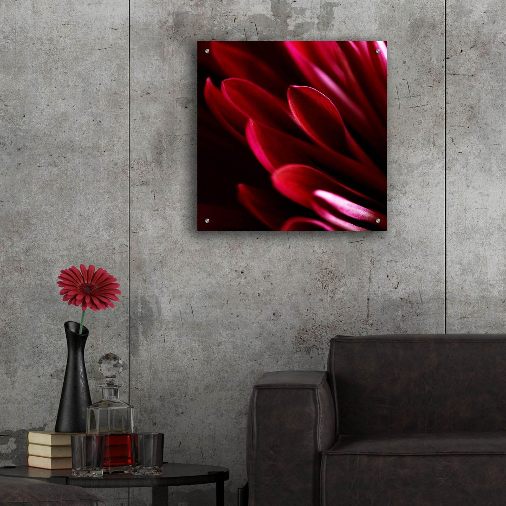 Epic Art 'Red Chrysanthemum Close up 01' by Tom Quartermaine, Acrylic Glass Wall Art,24x24