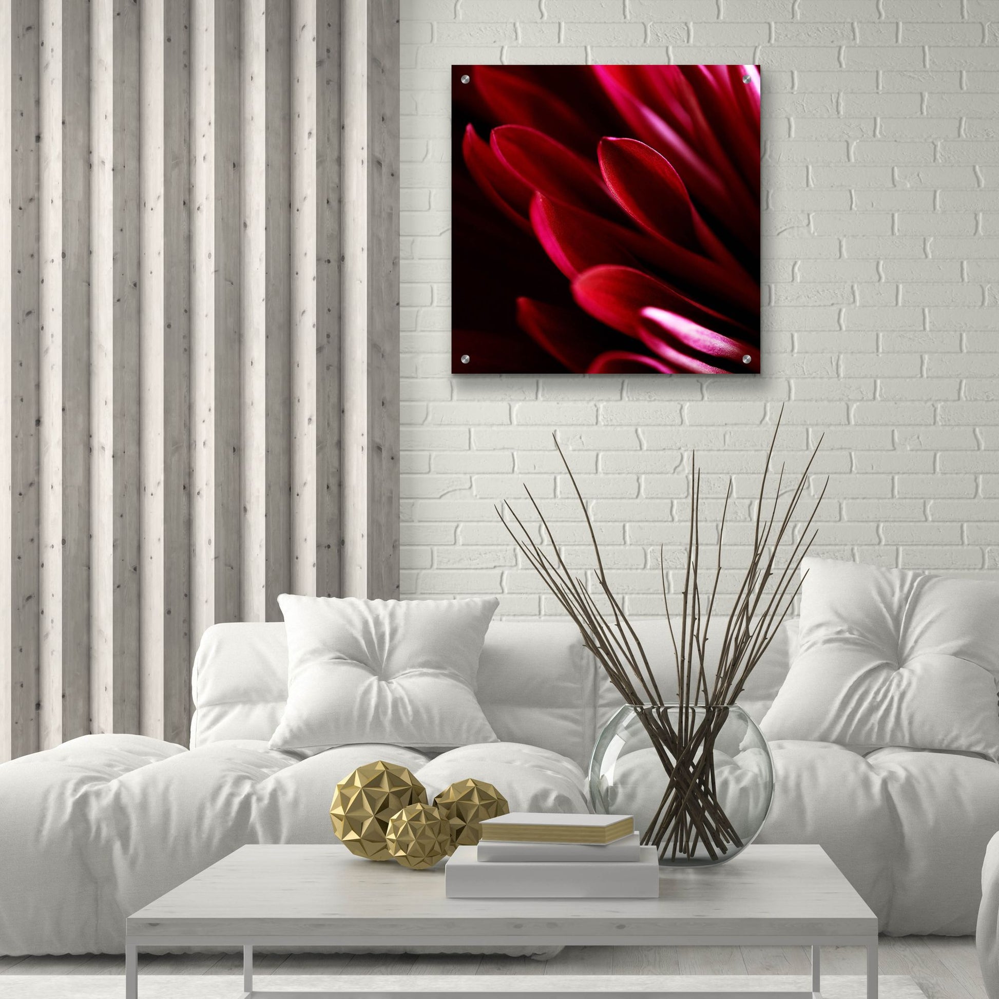 Epic Art 'Red Chrysanthemum Close up 01' by Tom Quartermaine, Acrylic Glass Wall Art,24x24