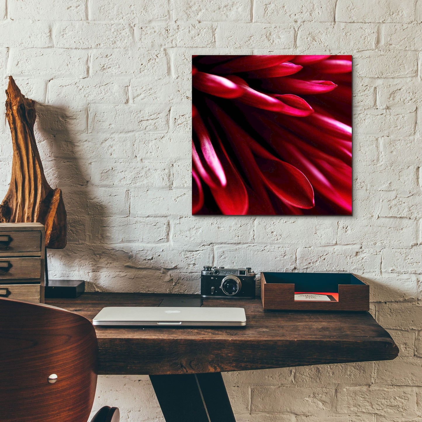 Epic Art 'Red Chrysanthemum Close up 02' by Tom Quartermaine, Acrylic Glass Wall Art,12x12