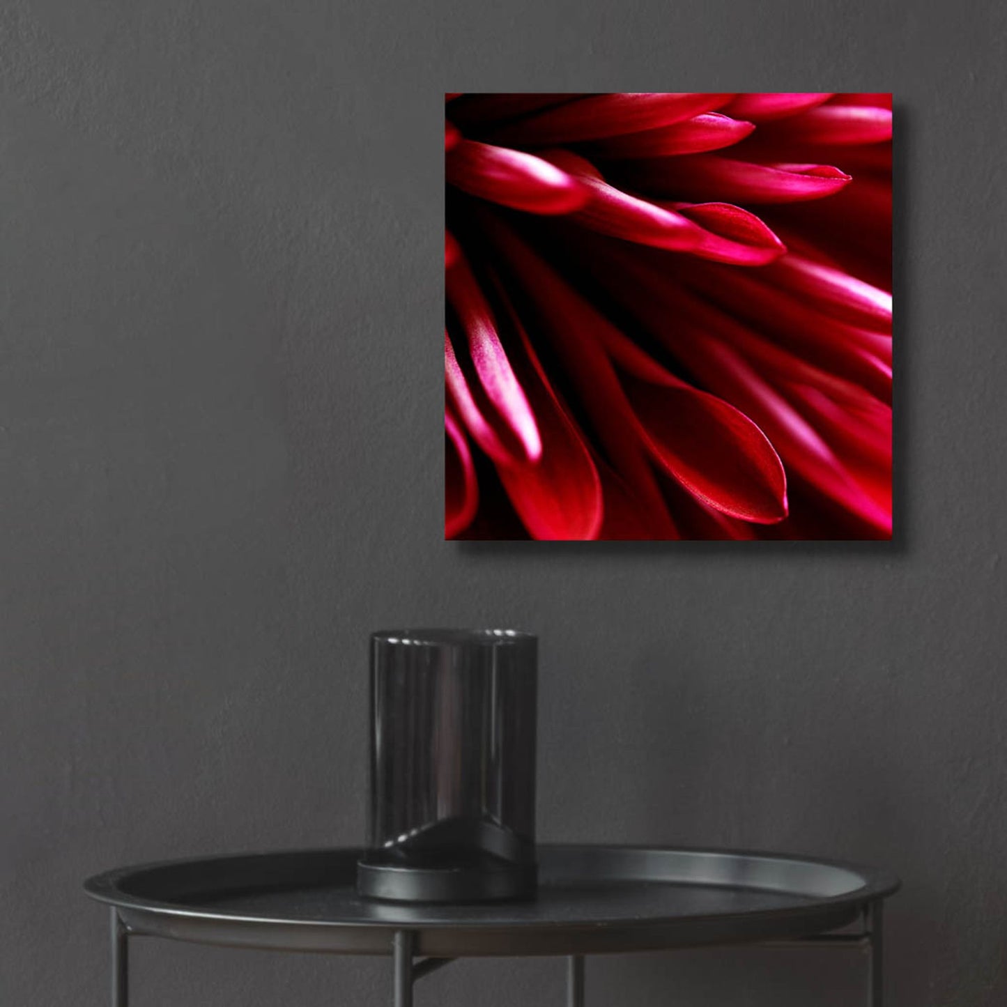 Epic Art 'Red Chrysanthemum Close up 02' by Tom Quartermaine, Acrylic Glass Wall Art,12x12