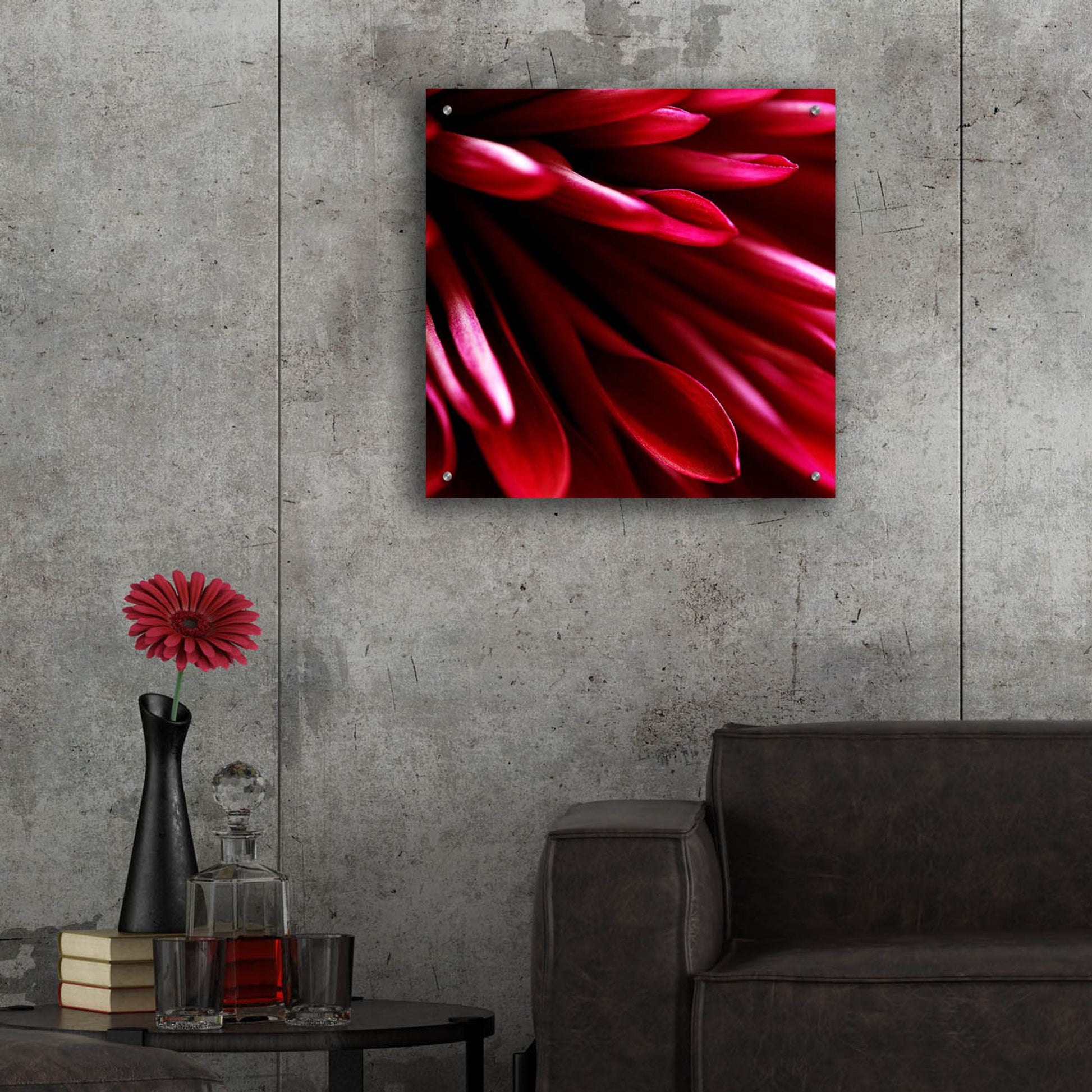 Epic Art 'Red Chrysanthemum Close up 02' by Tom Quartermaine, Acrylic Glass Wall Art,24x24