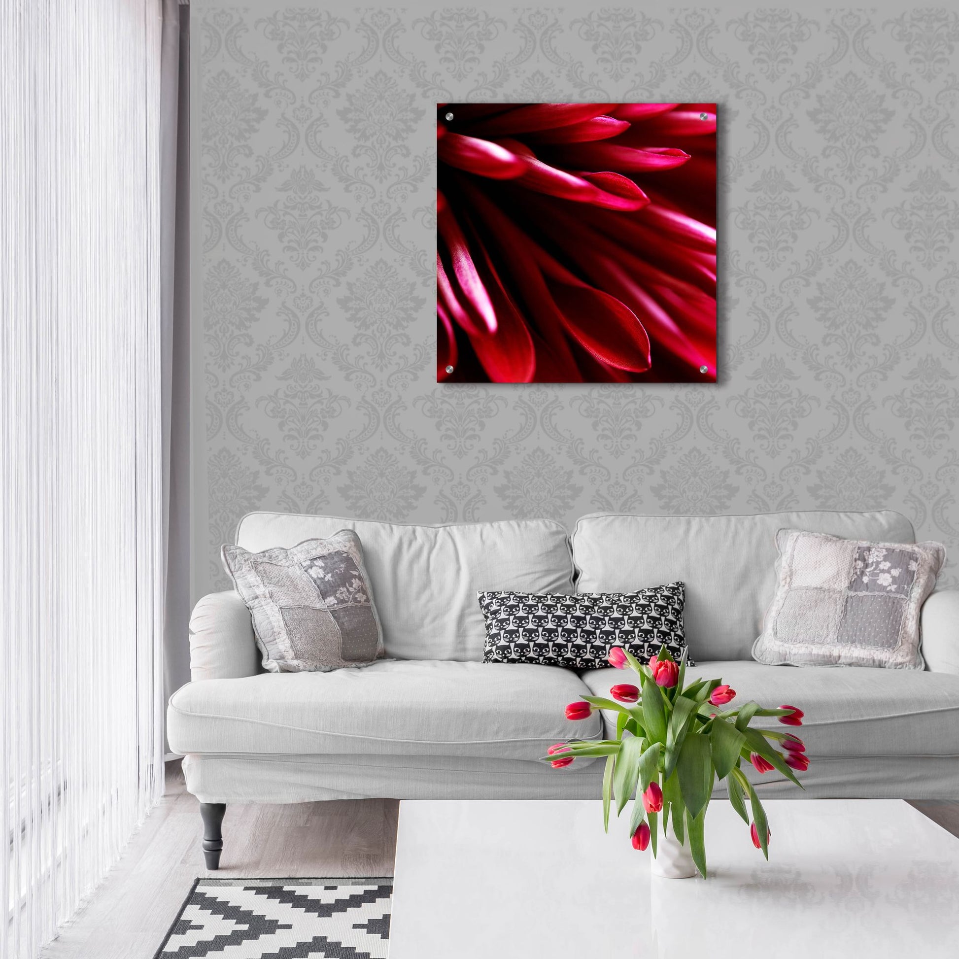 Epic Art 'Red Chrysanthemum Close up 02' by Tom Quartermaine, Acrylic Glass Wall Art,24x24