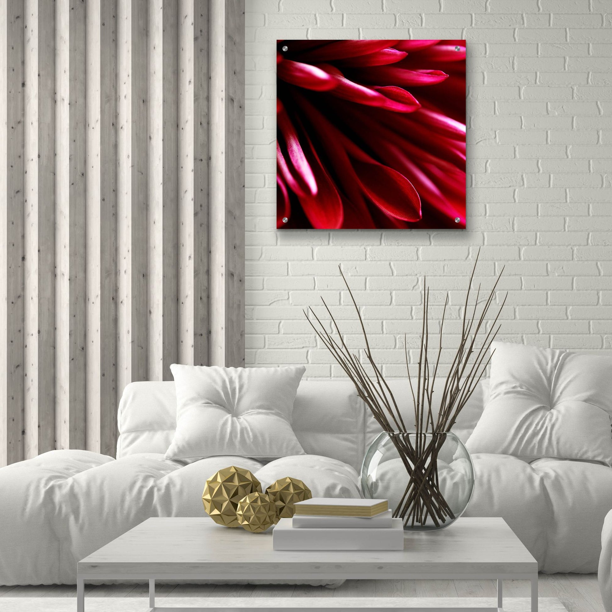 Epic Art 'Red Chrysanthemum Close up 02' by Tom Quartermaine, Acrylic Glass Wall Art,24x24