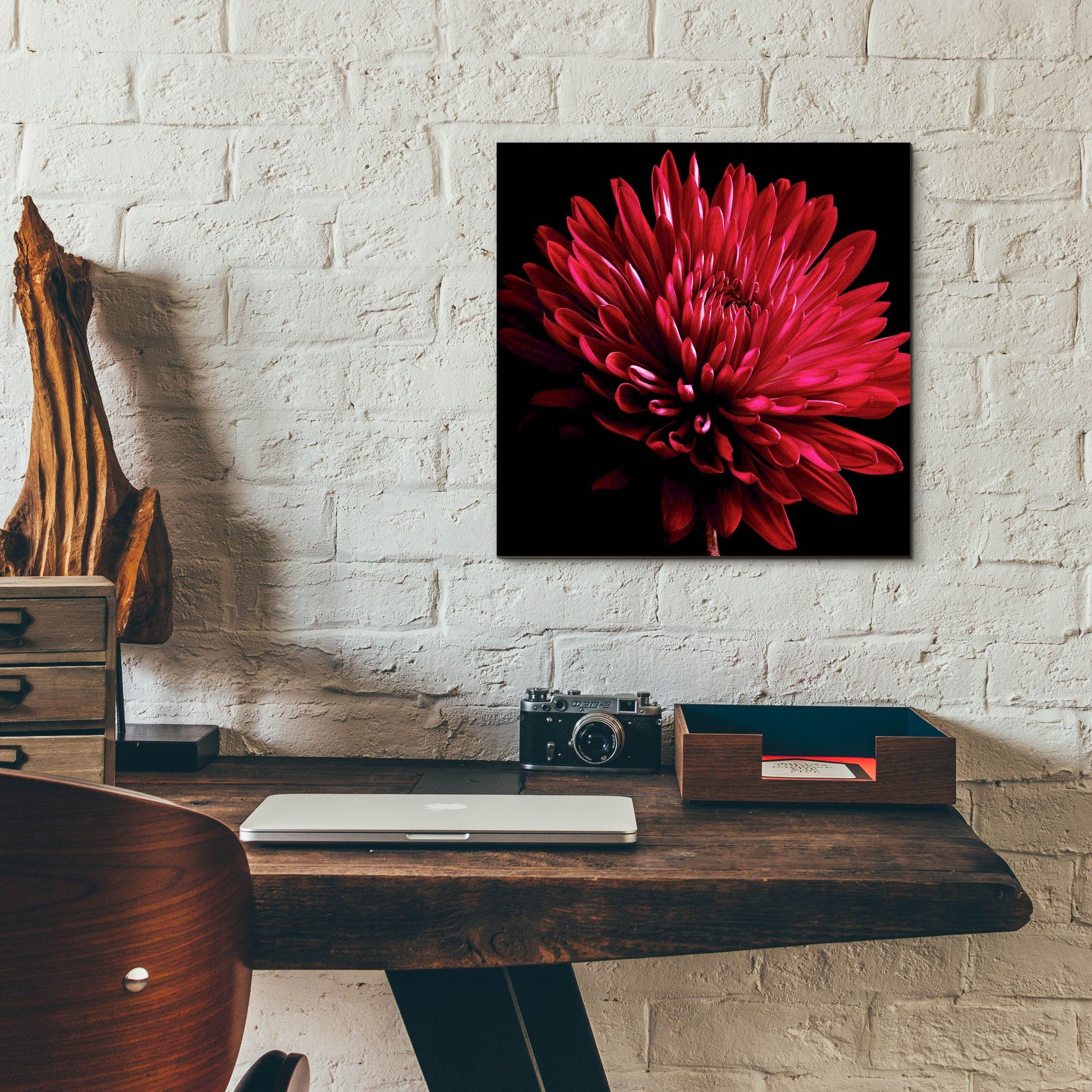 Epic Art 'Red Chrysanthemum on Black' by Tom Quartermaine, Acrylic Glass Wall Art,12x12