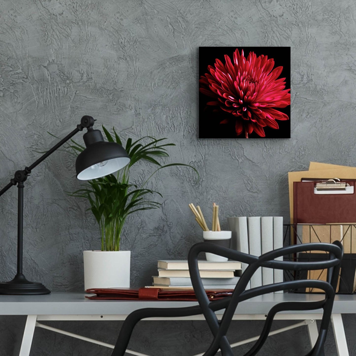 Epic Art 'Red Chrysanthemum on Black' by Tom Quartermaine, Acrylic Glass Wall Art,12x12