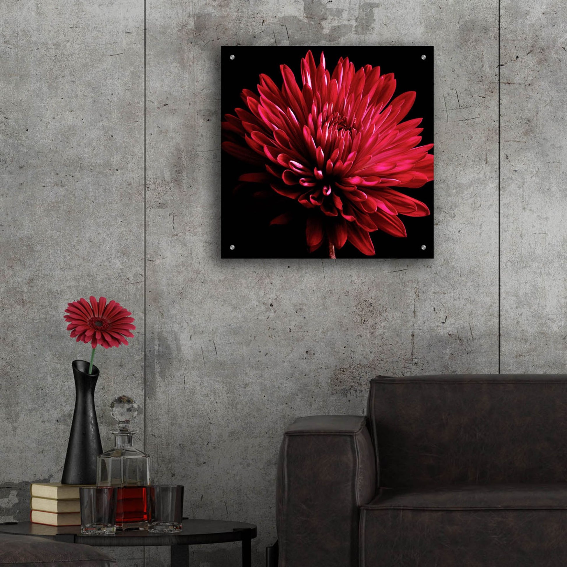 Epic Art 'Red Chrysanthemum on Black' by Tom Quartermaine, Acrylic Glass Wall Art,24x24