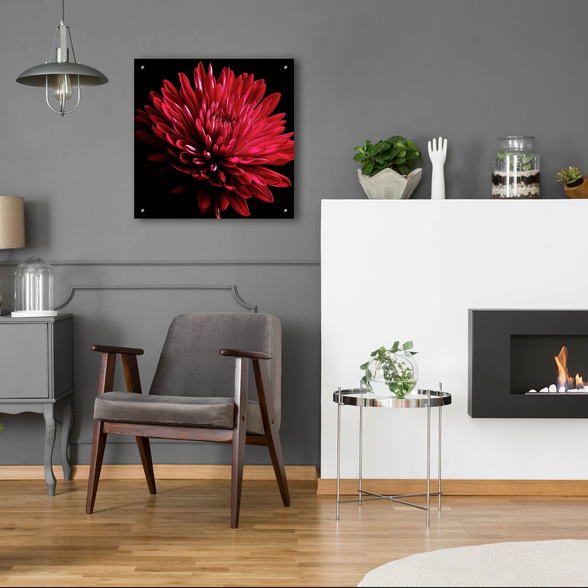 Epic Art 'Red Chrysanthemum on Black' by Tom Quartermaine, Acrylic Glass Wall Art,24x24