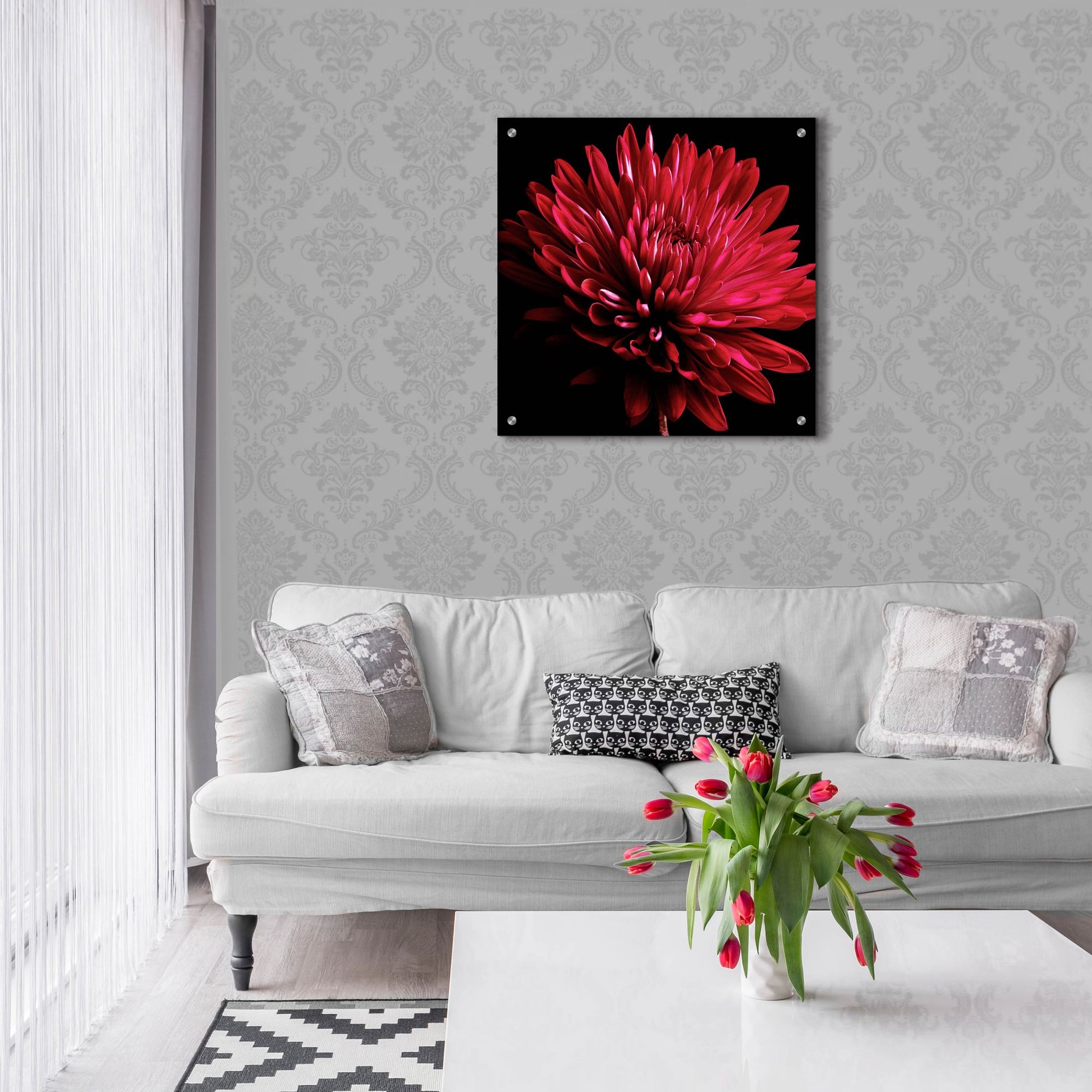 Epic Art 'Red Chrysanthemum on Black' by Tom Quartermaine, Acrylic Glass Wall Art,24x24