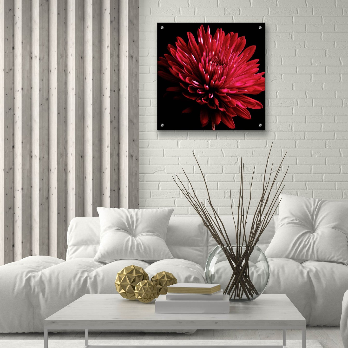 Epic Art 'Red Chrysanthemum on Black' by Tom Quartermaine, Acrylic Glass Wall Art,24x24