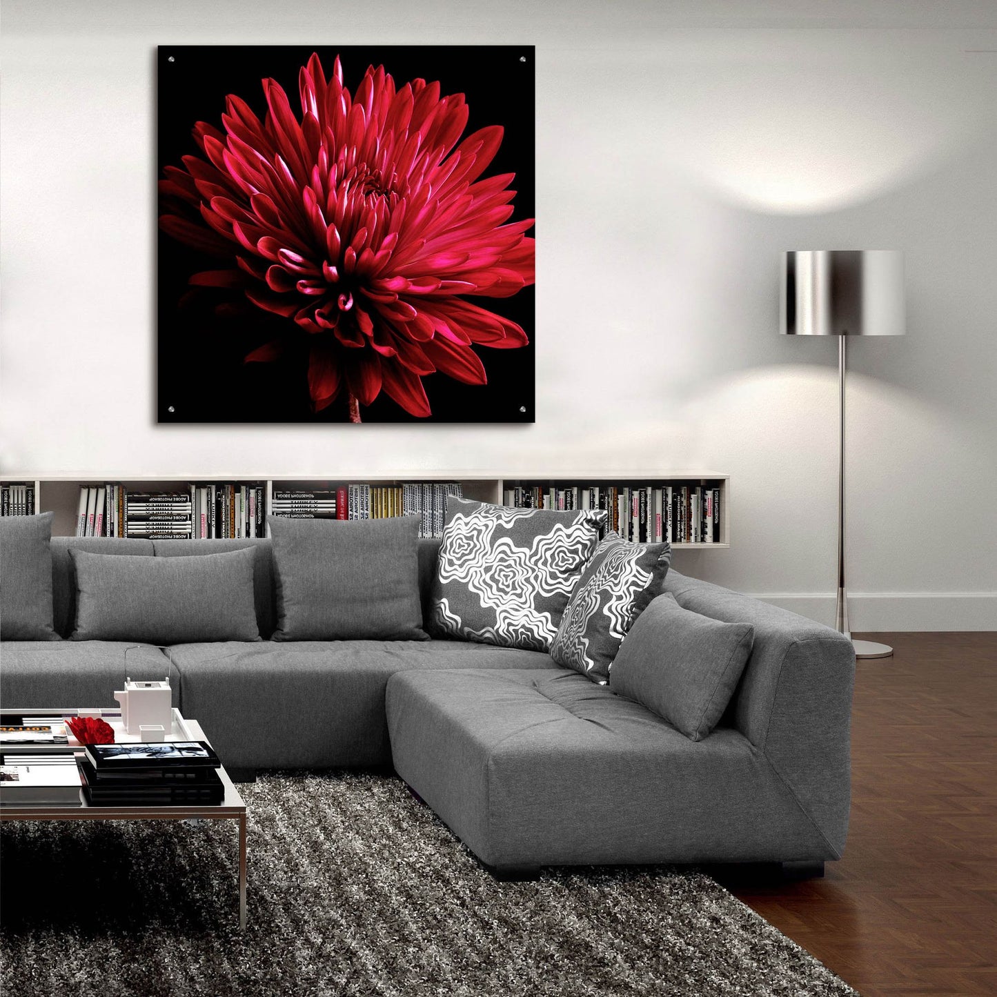 Epic Art 'Red Chrysanthemum on Black' by Tom Quartermaine, Acrylic Glass Wall Art,36x36